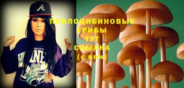 мет Пенза